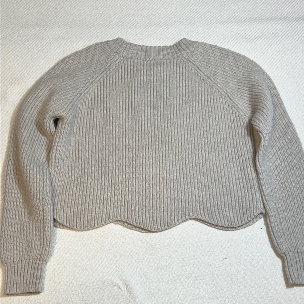 Cropped Ribbed Crew Neck Sweater - Picture 5 of 5